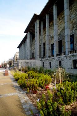 RDV aux jardins du Palais de la Porte Dorée